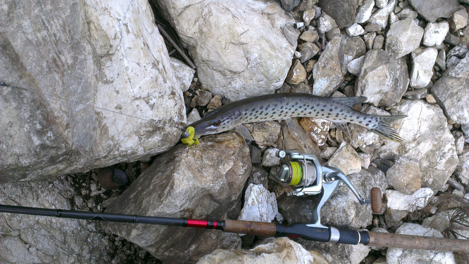 IMAG0809.jpg