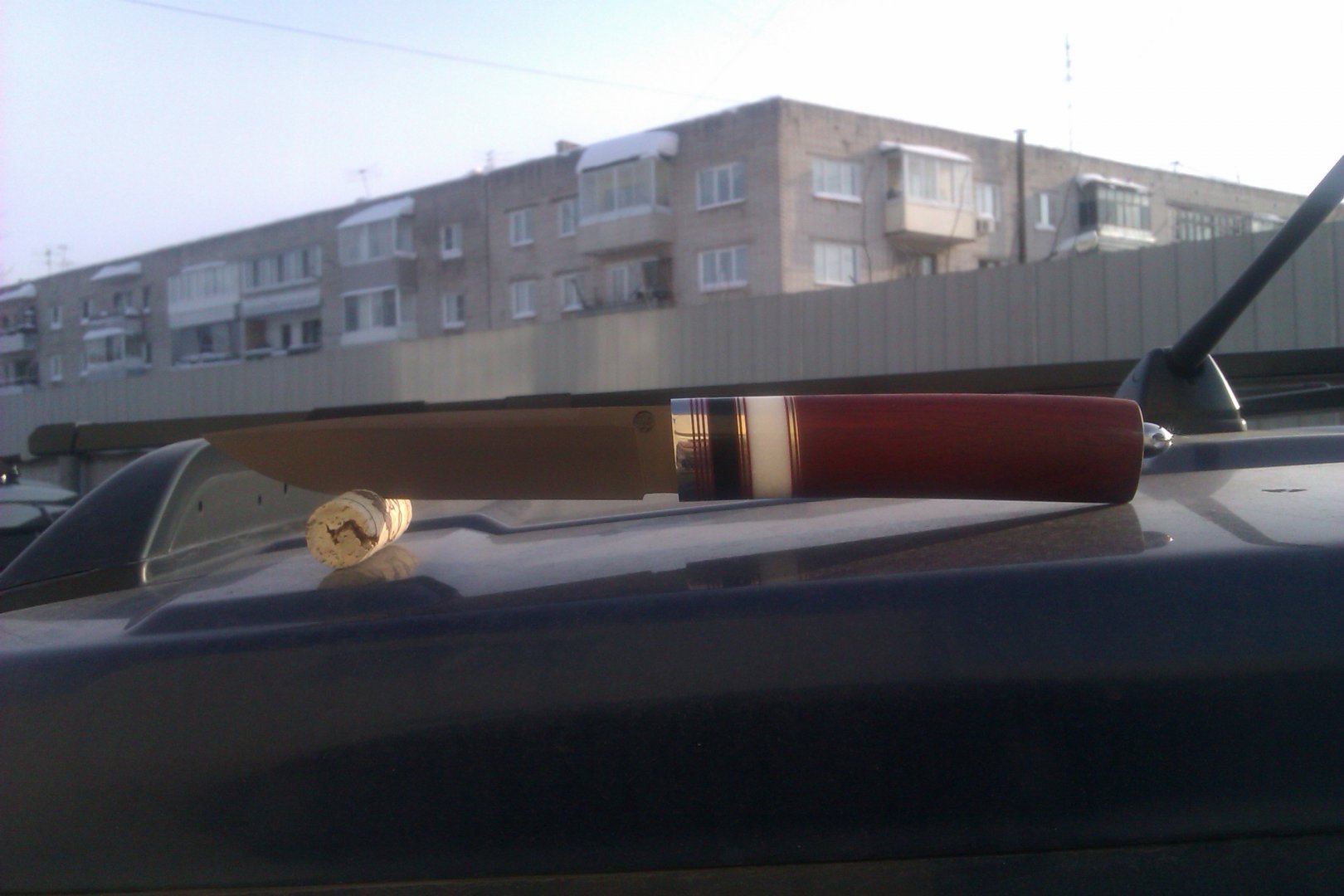 IMAG0921.jpg
