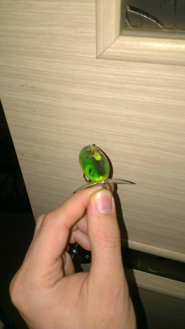 IMAG1140.jpg
