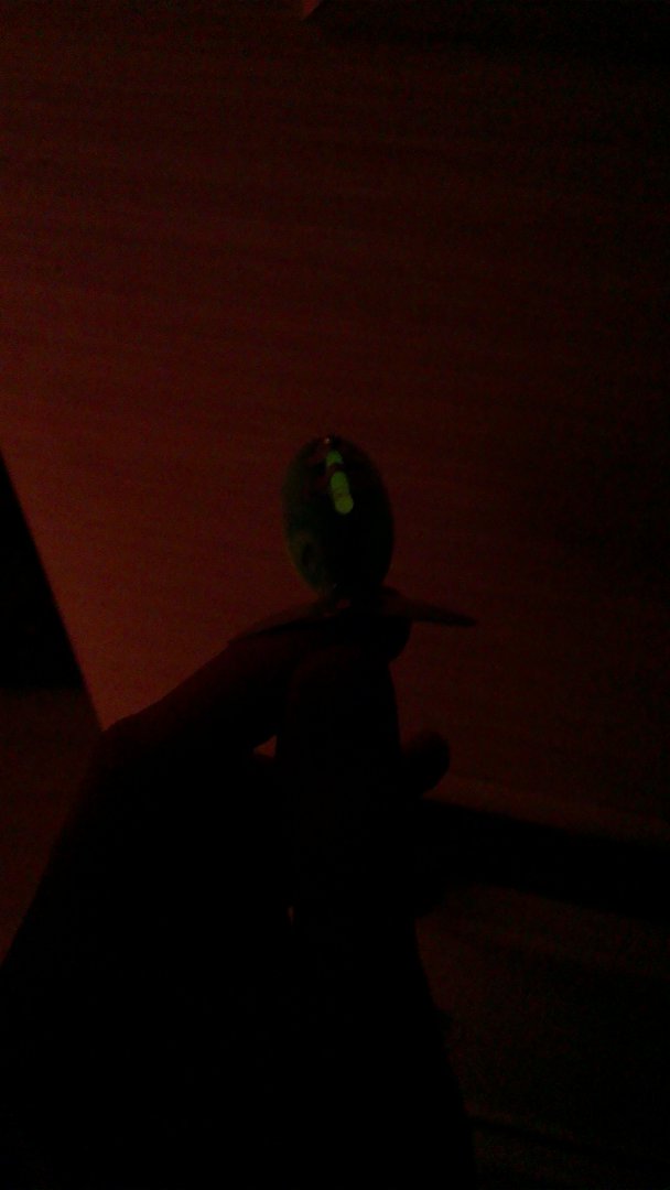 IMAG1141.jpg