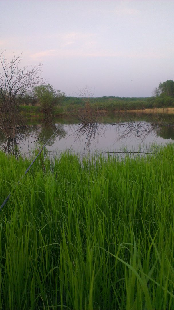 IMAG1240.jpg