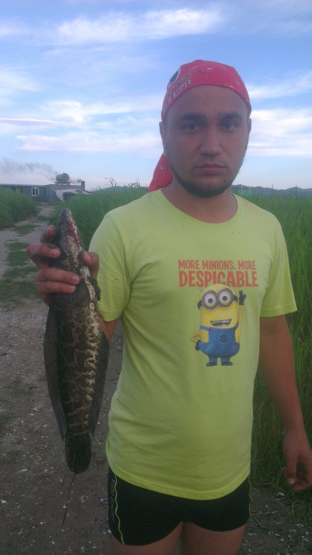 IMAG1313.jpg