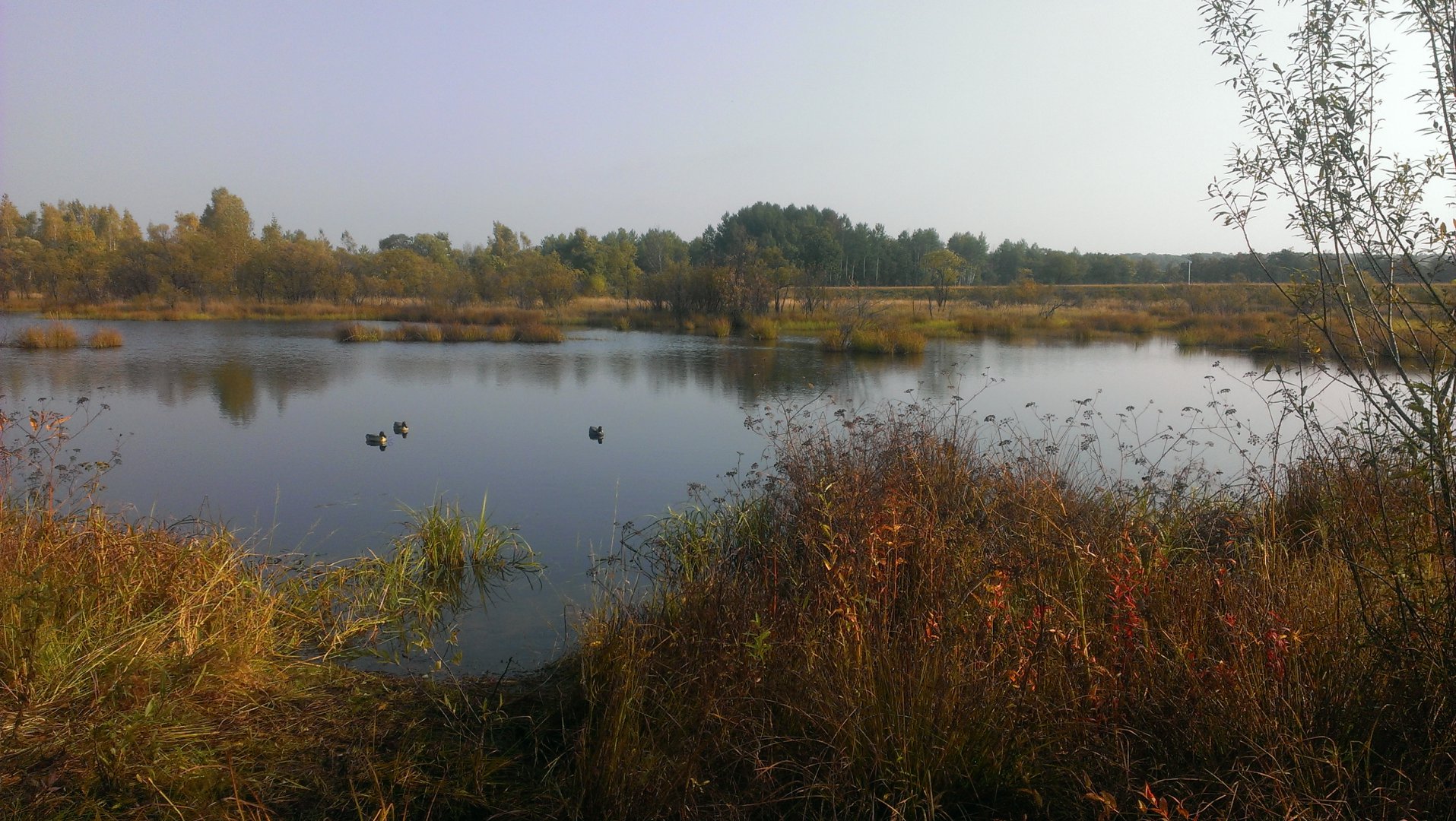 IMAG1354.jpg