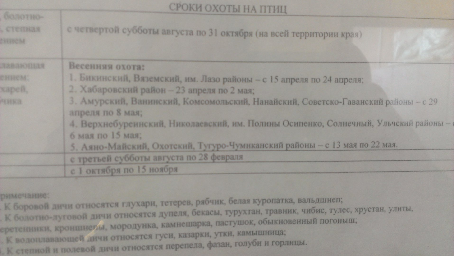 IMAG1395.jpg
