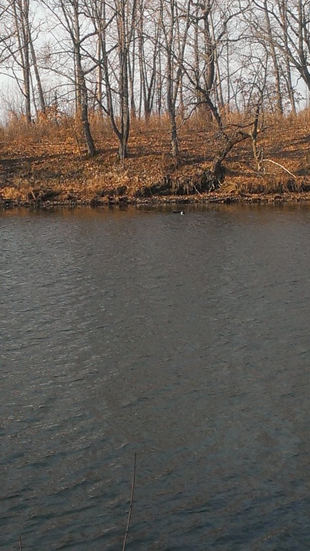 IMAG1447.jpg