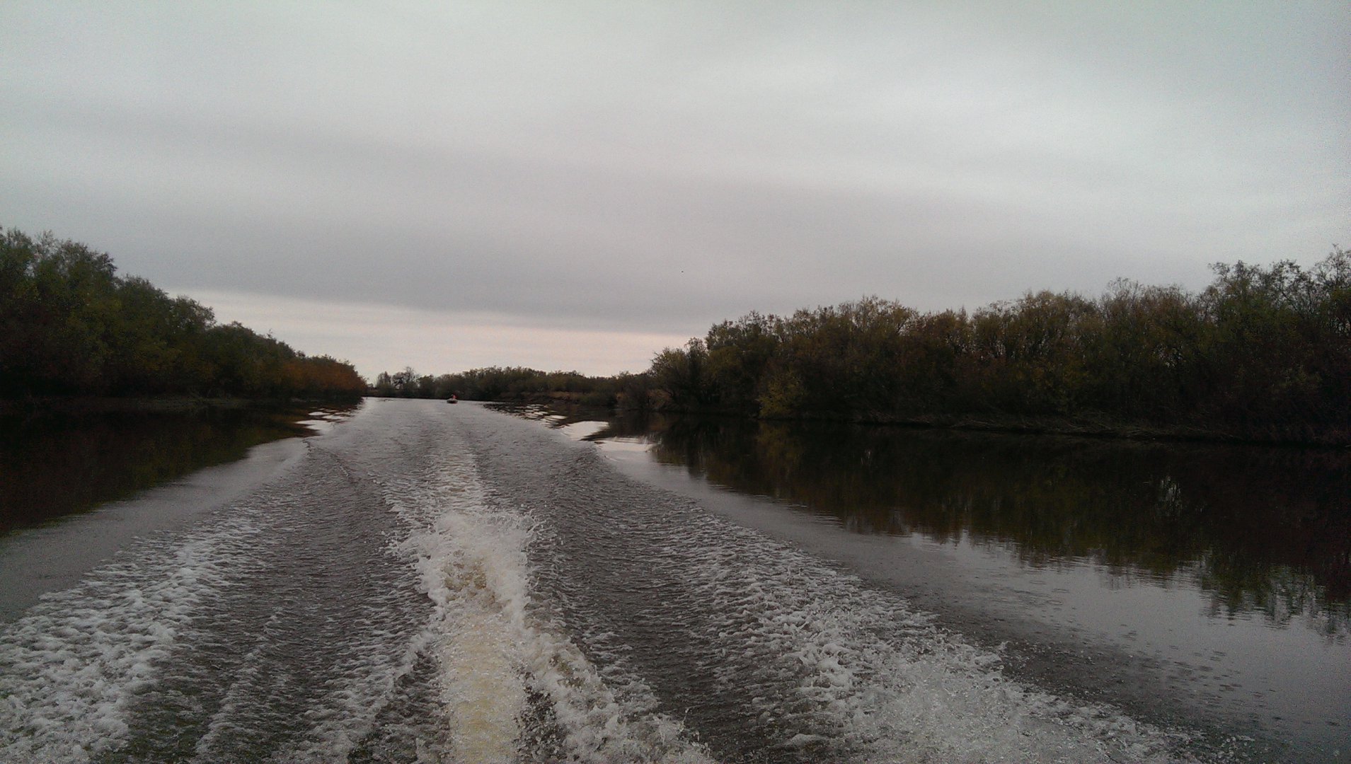 IMAG2805.jpg