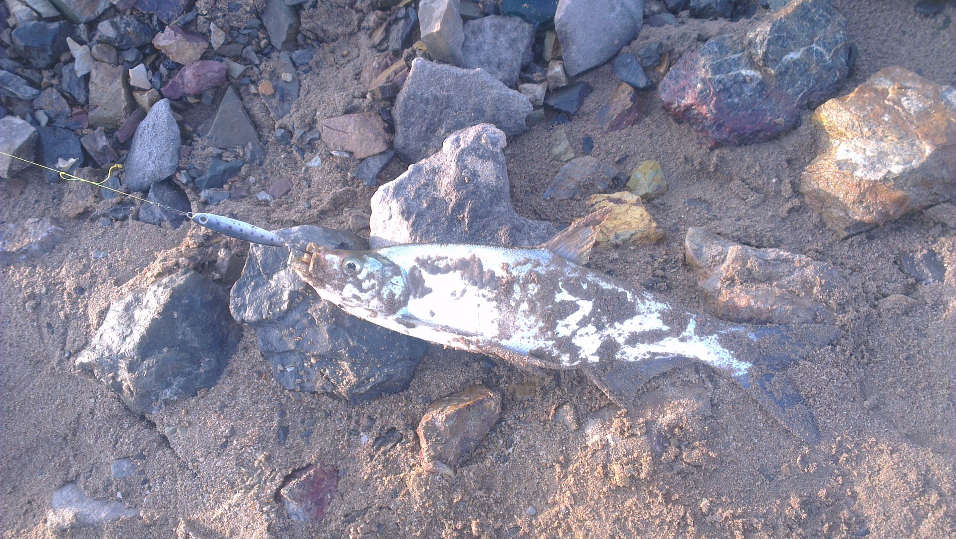 IMAG3248.jpg