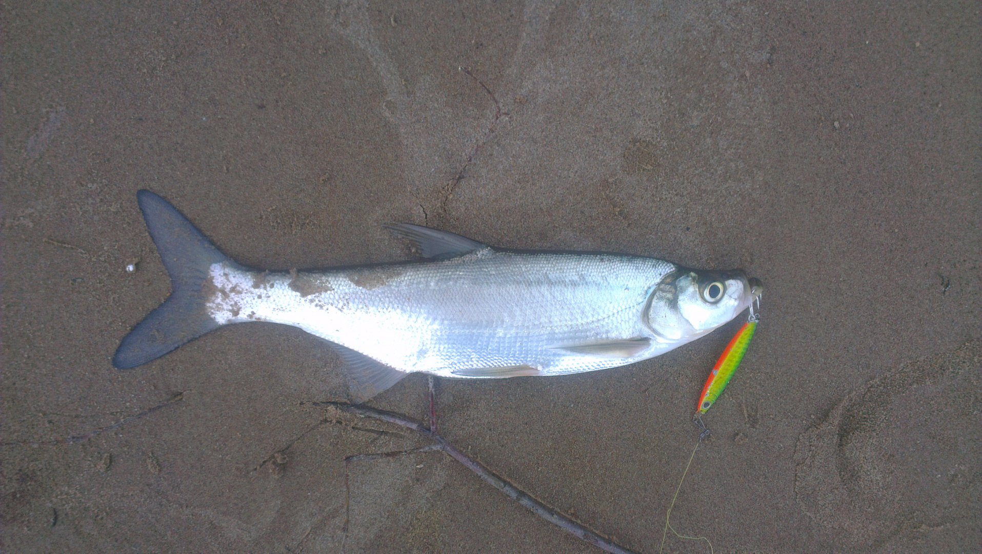 IMAG3297.jpg