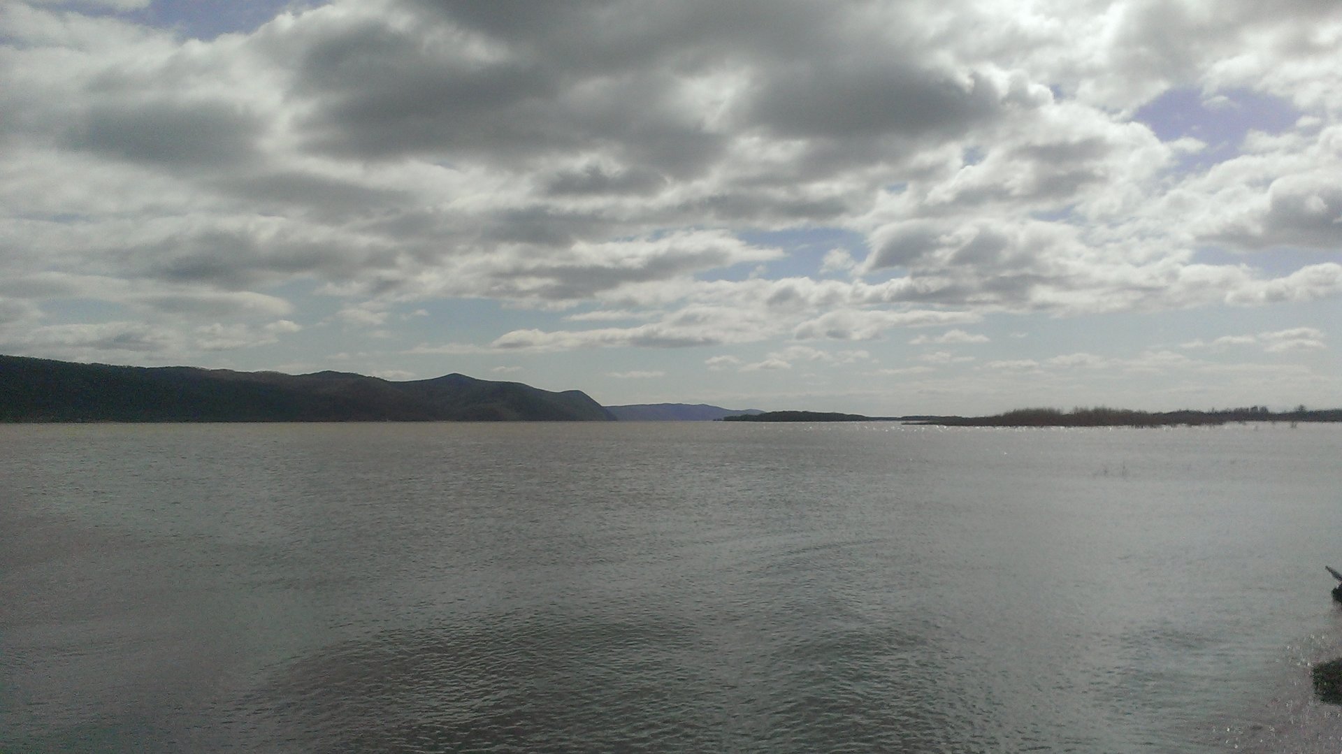IMAG4425.jpg
