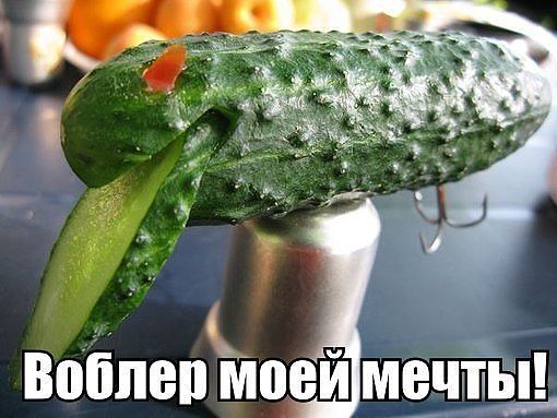 imagаe.jpg