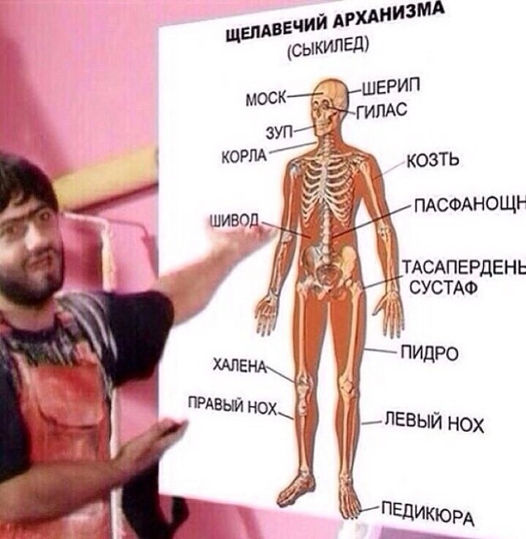 imagцe.jpg