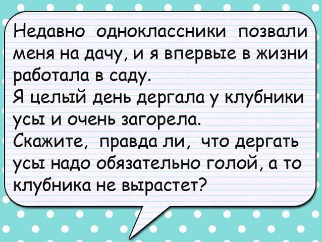 imagцe.jpg
