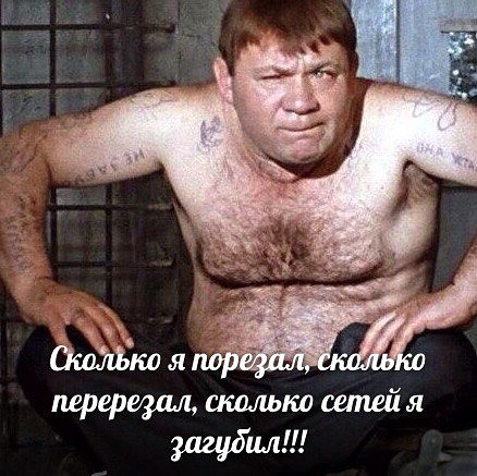 imagччe.jpg