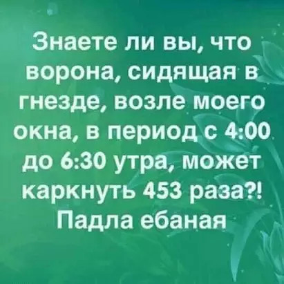 image (1).jpg