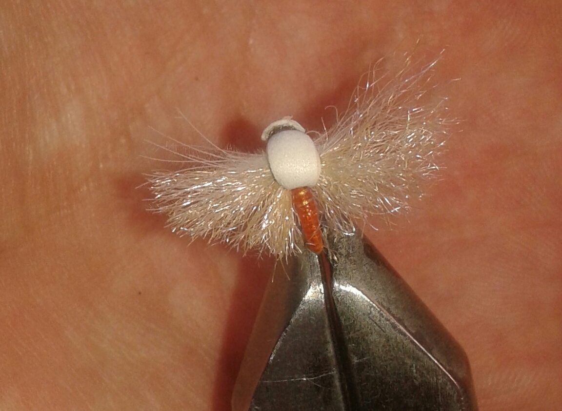 image (17).jpg