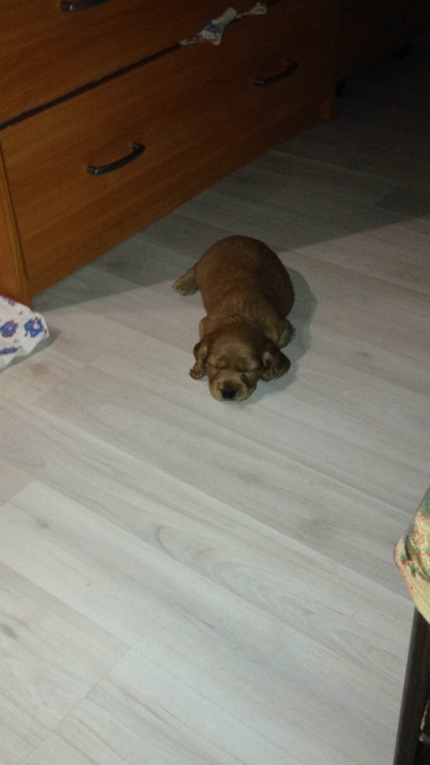 image-2019-03-04 14_54_52.jpg