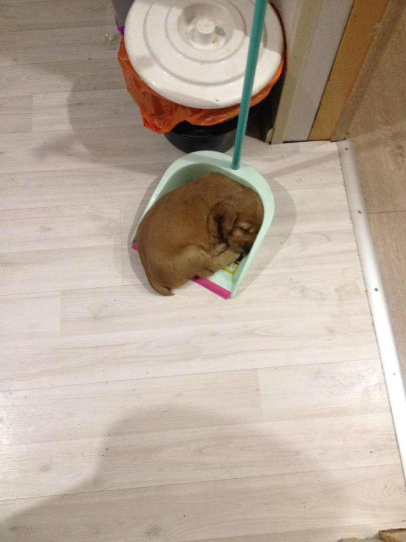 image-2019-03-04 14_57_11.jpg