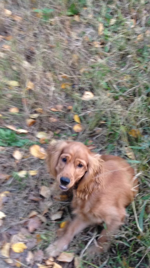 image-2019-03-04 14_58_56.jpg