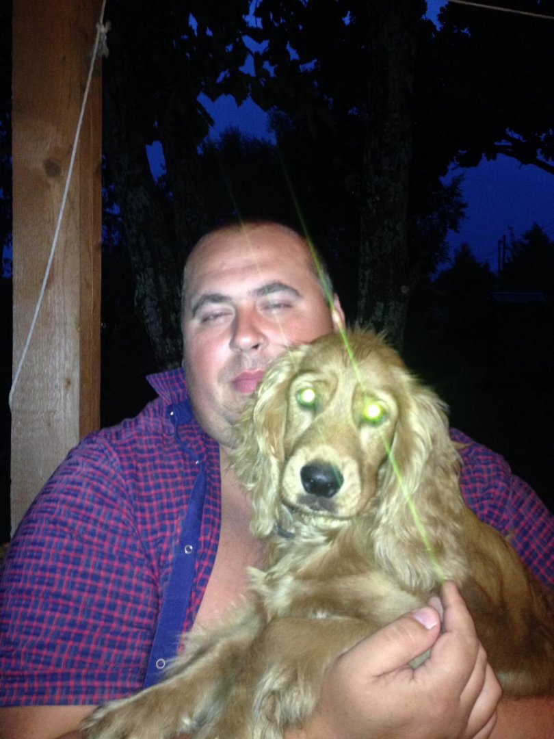 image-2019-03-04 15_00_54.jpg