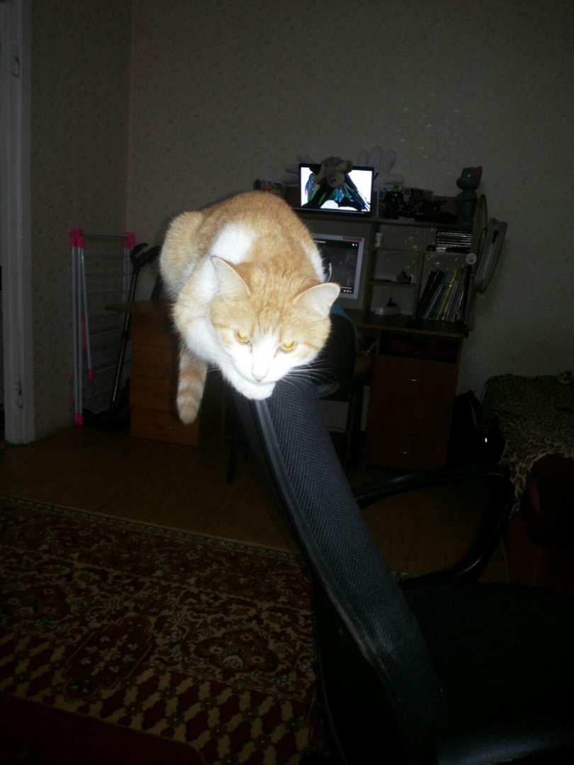 image-2019-03-04 15_09_40.jpg