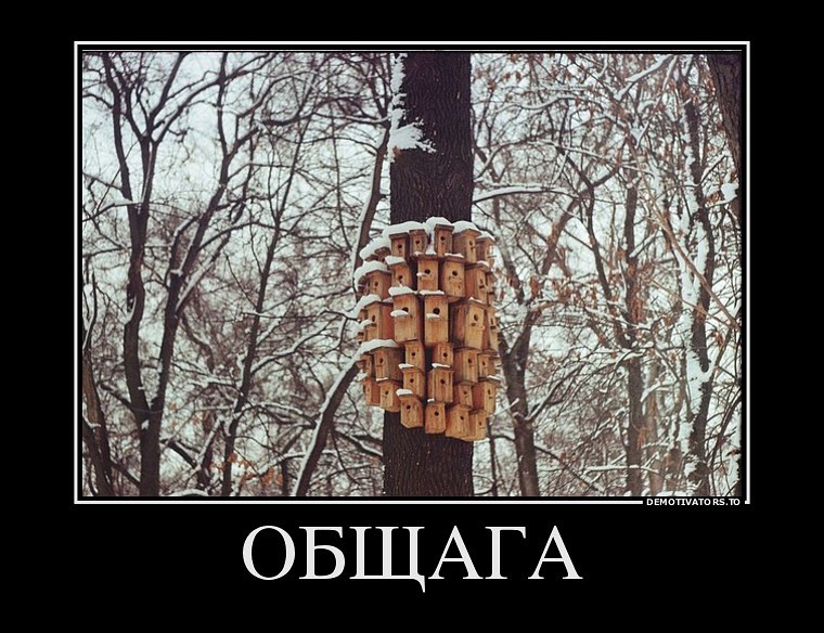 image (4).jpg