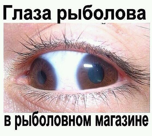 image (4).jpg