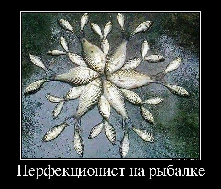 image (6).jpg