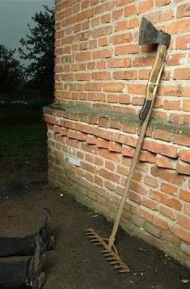 image.jpeg