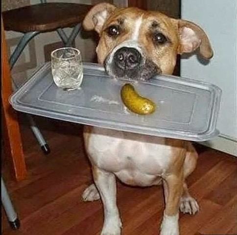 image.jpeg