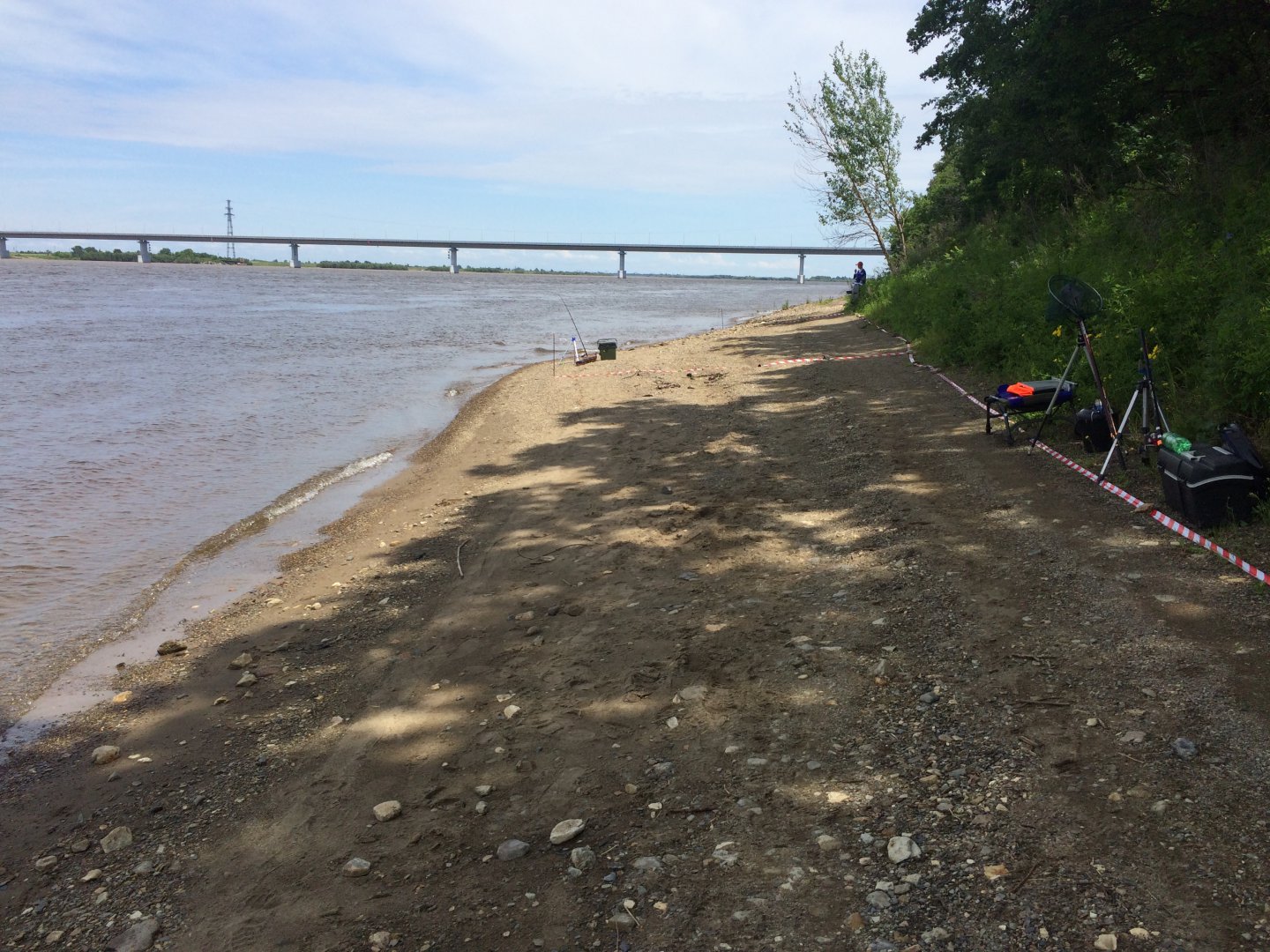 image.jpeg