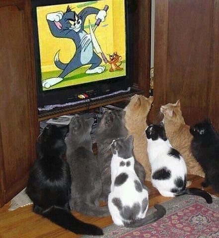 image.jpg