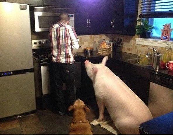 image.jpg