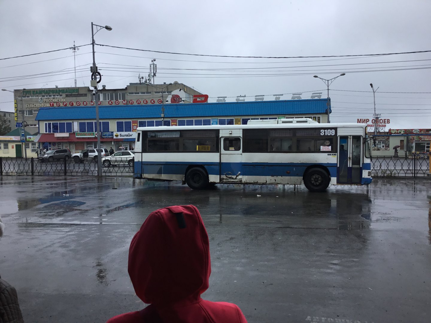 image.jpg