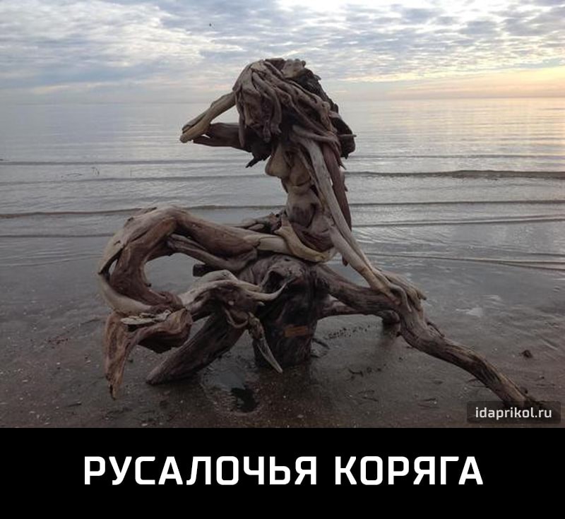 image0.jpg