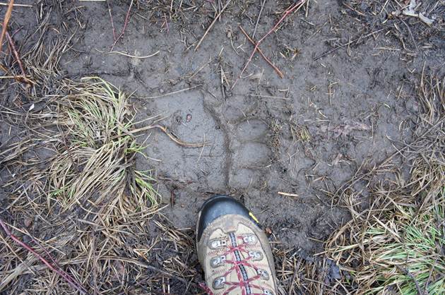 image012.jpg