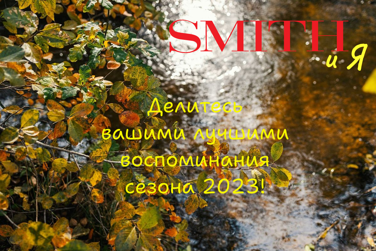 image_8328699_16538992.png