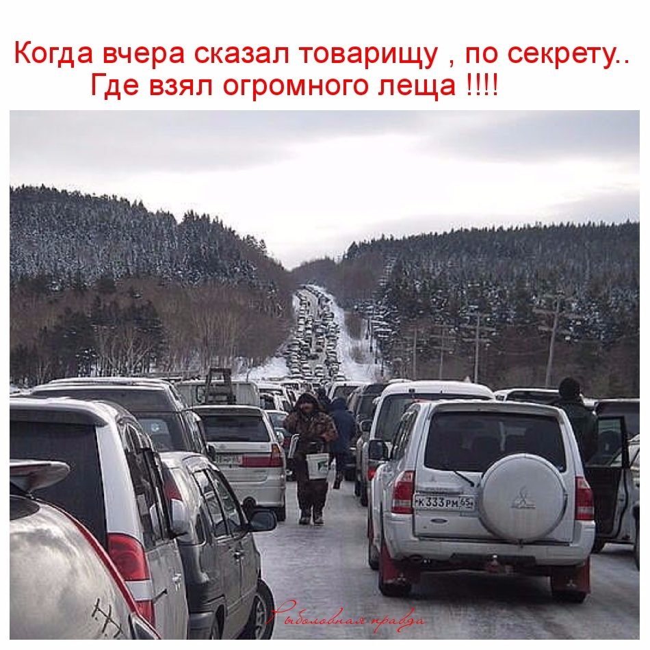imageд.jpg
