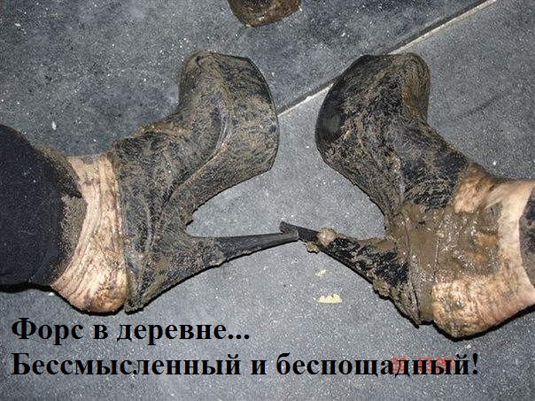imageHA9BNYSZ.jpg