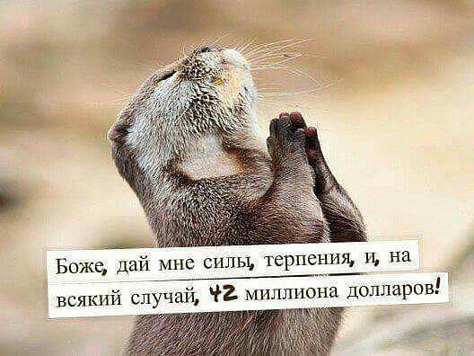 imageIZ5OKHVK.jpg