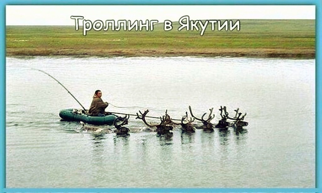 imageли.jpg