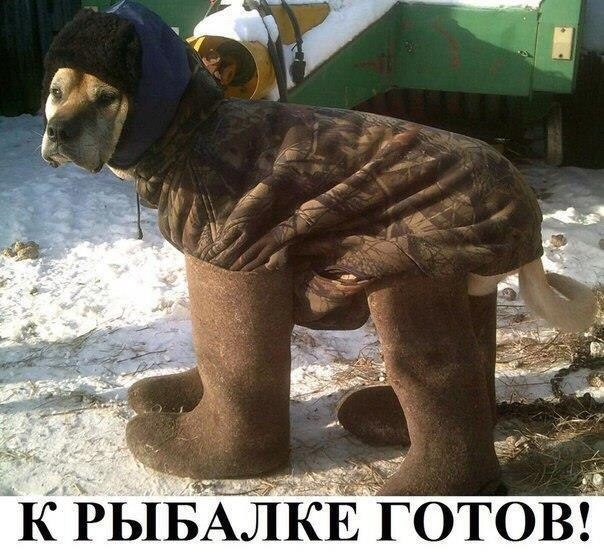 imageо.jpg
