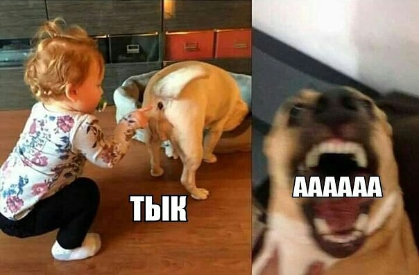 imageо.jpg