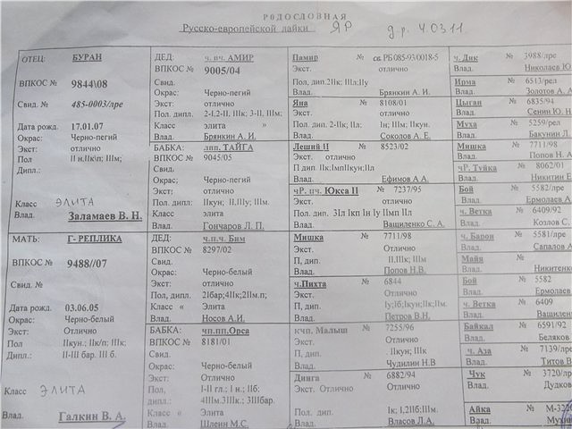 imageO414BP38.jpg