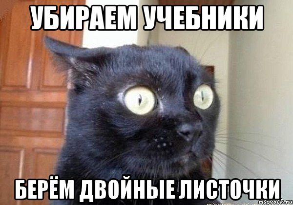 imageOKQTY4AT.jpg