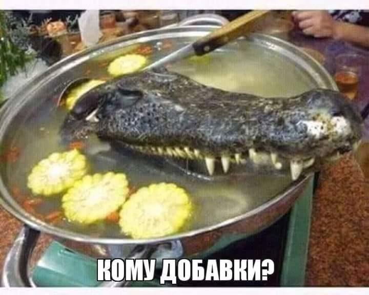 imageп.jpg
