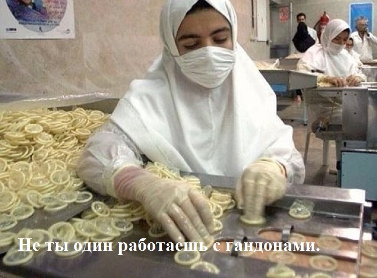 imageпн6.jpg