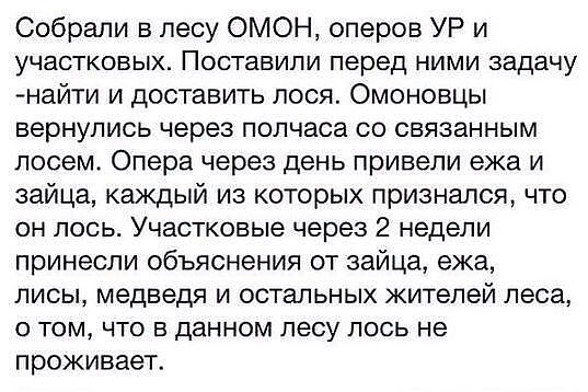 imageRFV2ZO0A.jpg