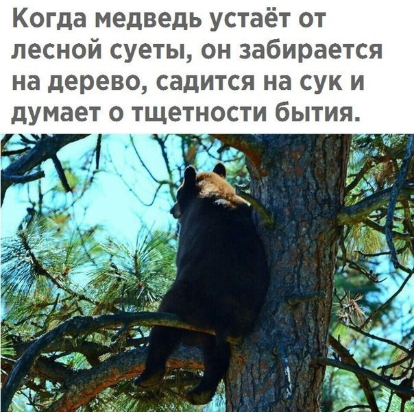 imageс.jpg