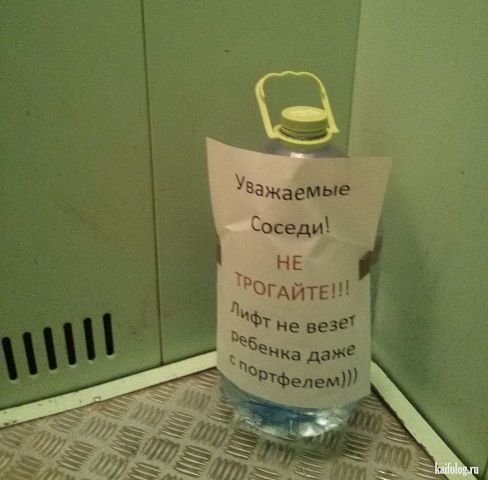 imageсок.jpeg