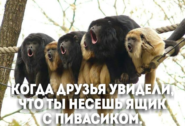 imageуе.jpg